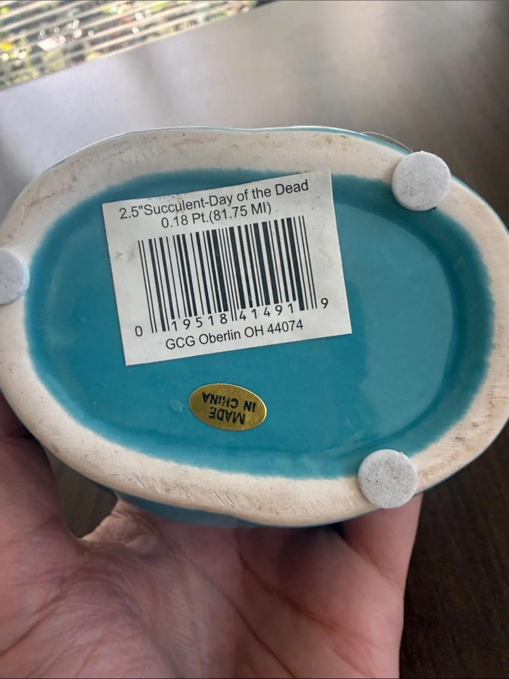Sugar Skull Day of the Dead Turquoise Ceramic Planter Bowl